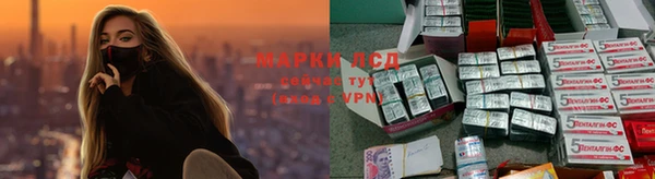 2c-b Алзамай