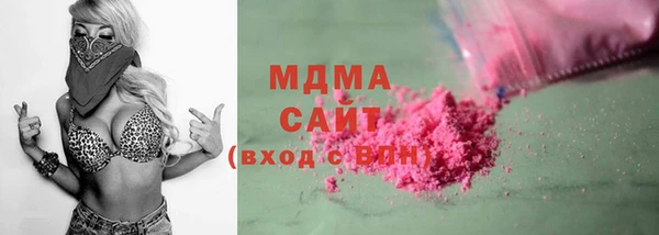 гашик Алексин