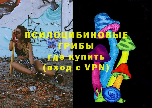 гашик Алексин