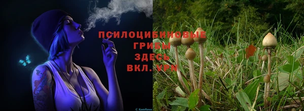 2c-b Алзамай