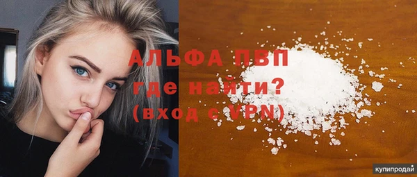 гашик Алексин
