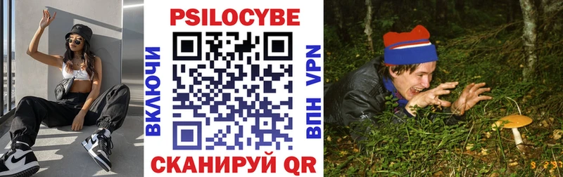 ссылка на мегу зеркало  маркетплейс наркотические препараты  Галлюциногенные грибы Psilocybine cubensis  Ардон 